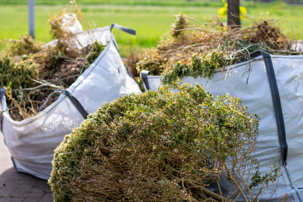 Best Residential Junk Removal  in Collinsville, AL